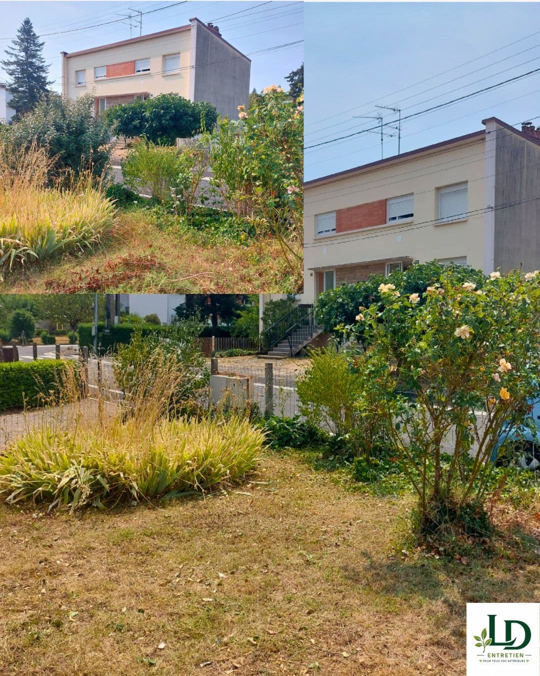 Entretien de jardin et nettoyage d'extérieur à Carmaux (7)
