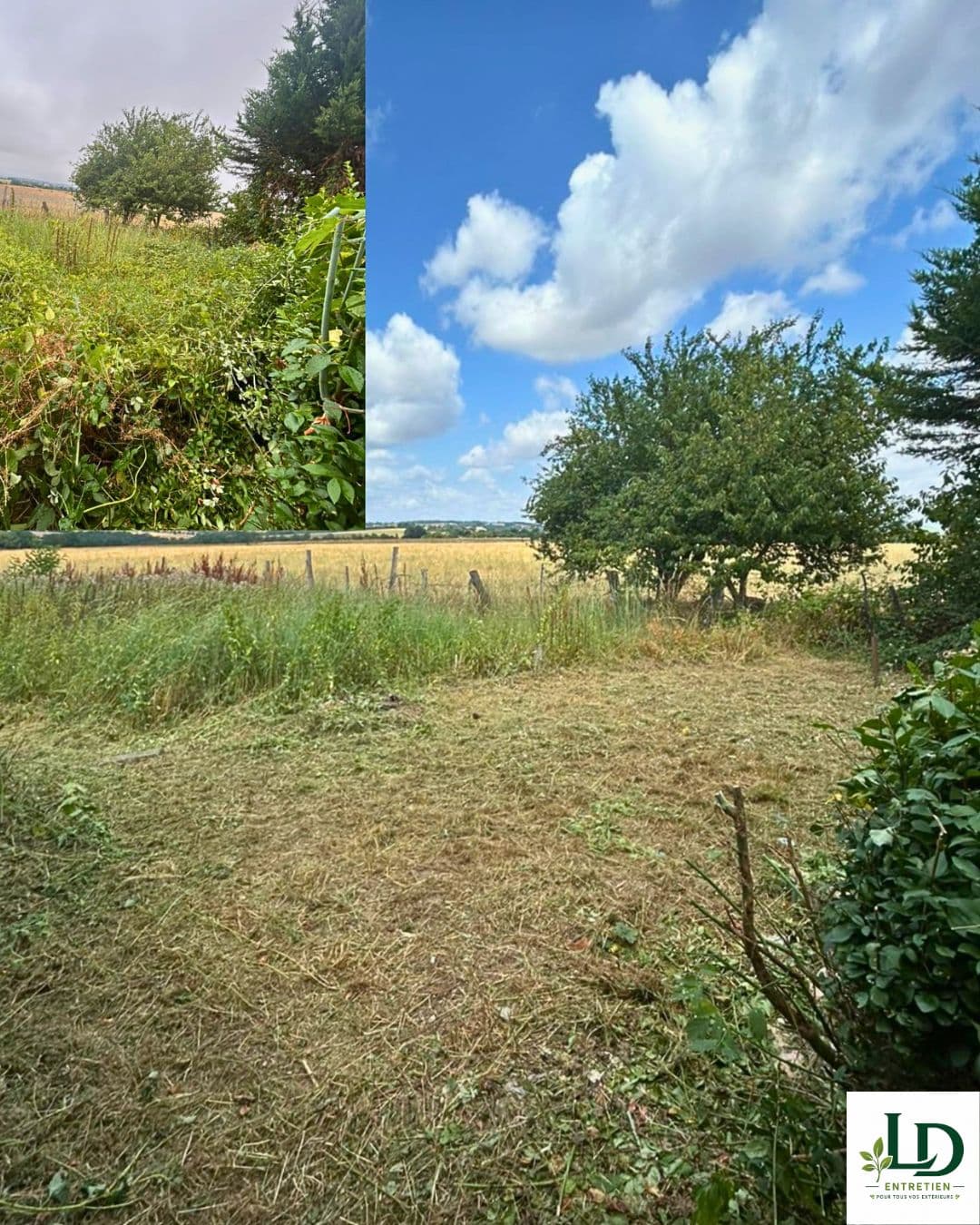 Entretien de jardin et nettoyage d'extérieur à Carmaux (14)