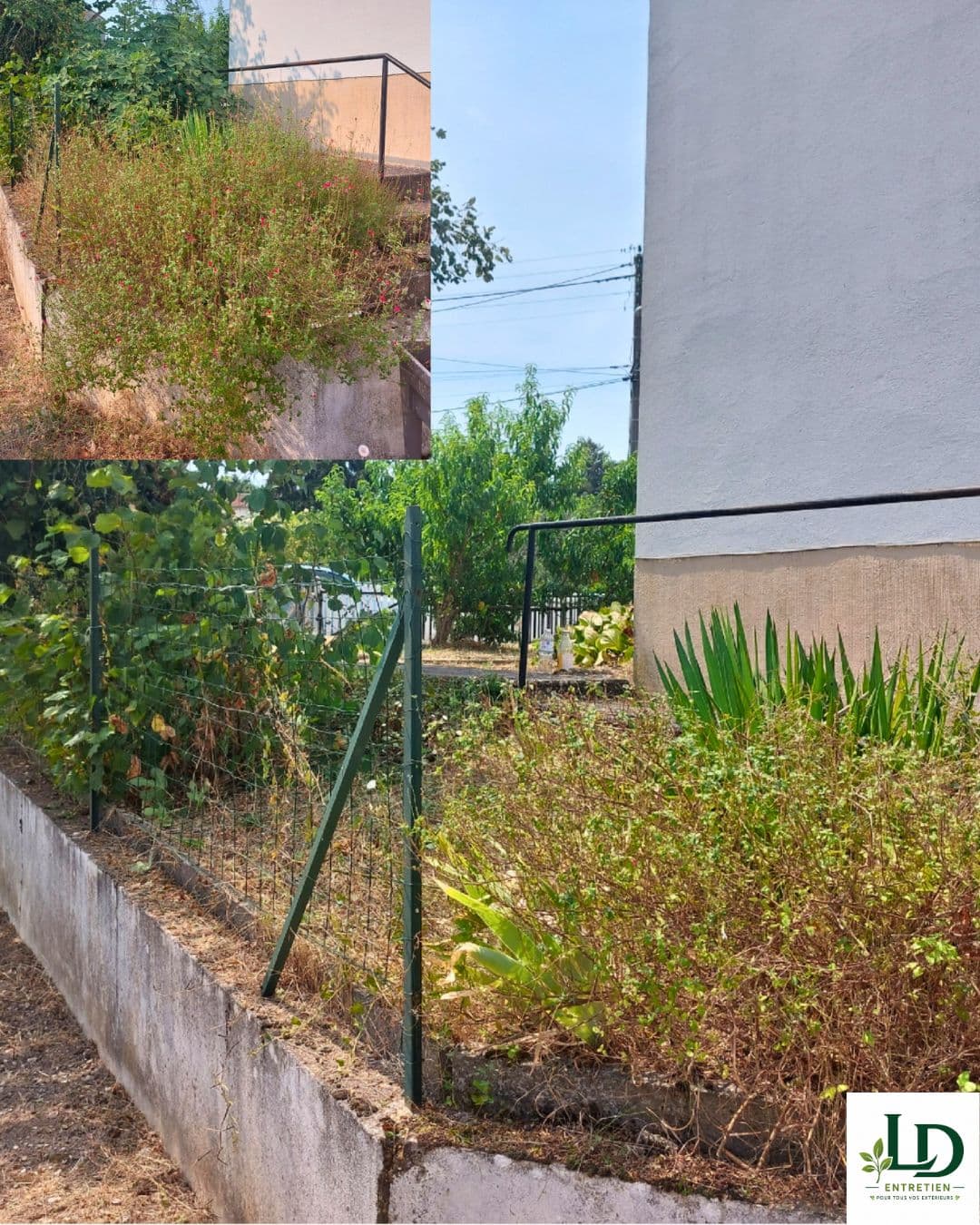Entretien de jardin et nettoyage d'extérieur à Carmaux (9)