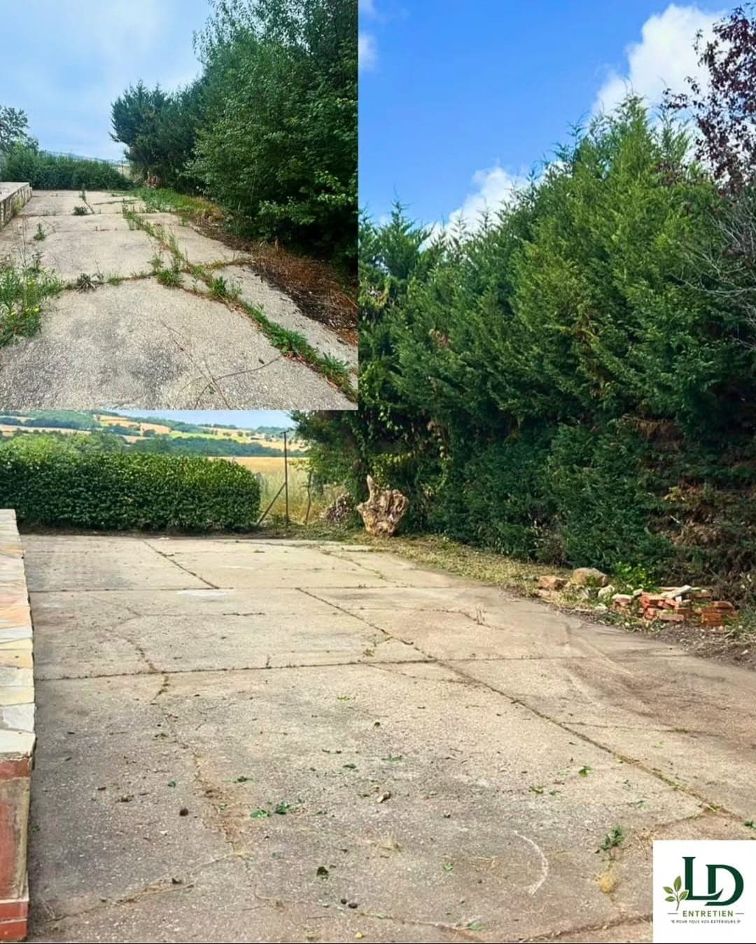 Entretien de jardin et nettoyage d'extérieur à Carmaux (12)